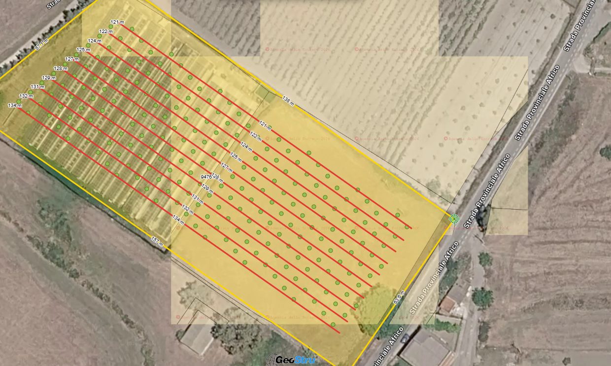 GeoCatasto: terreno con 230 piante a sesto 5x5 e tubi di irrigazione con la lunghezza di ogni tratto